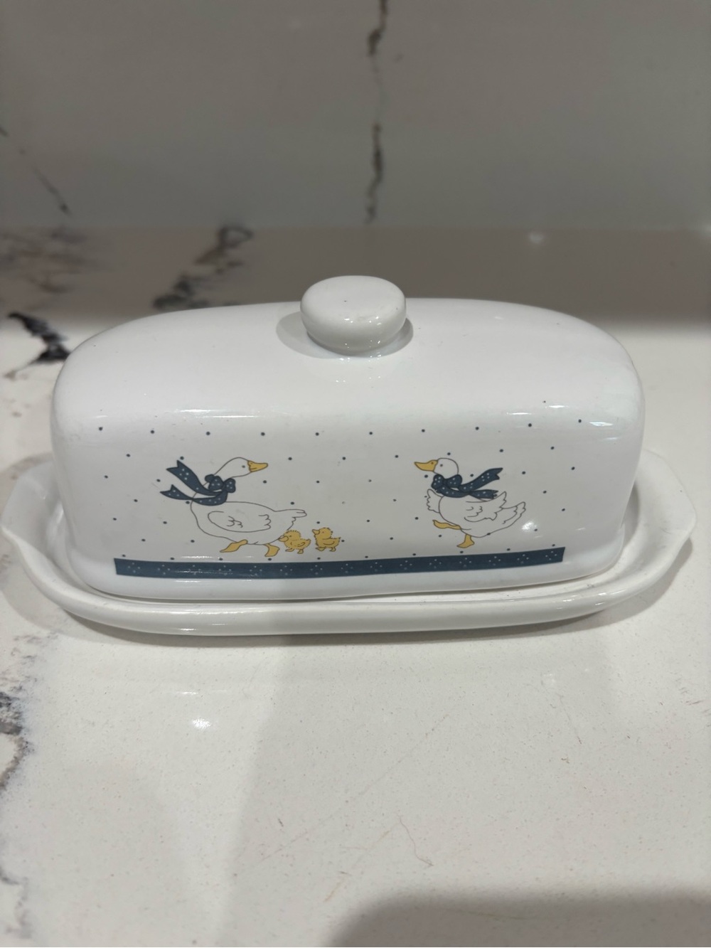 White Ceramic Butter Dish with Duck Family Design